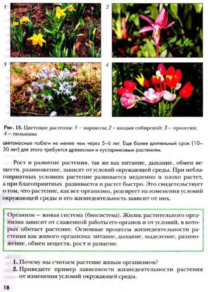 Биология 6 класс учебник пономарева читать онлайн