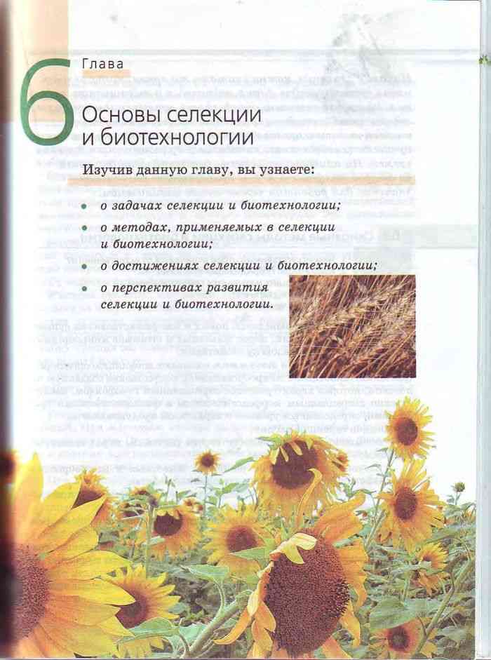 Общая биология» 10-11 класс е.а. Криксунов. Книга по биологии селекция. Биология 10-11 класс учебник.