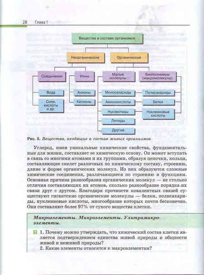 Структура учебника биологии. Учебник по биологии 11 класс Пасечник читать.