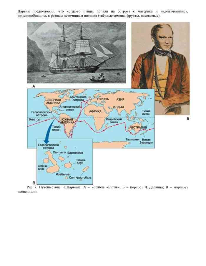 Ч дарвин кругосветное путешествие. Кругосветное путешествие Чарльза Дарвина. Путешествие Чарльза Дарвина на корабле Бигль маршрут.