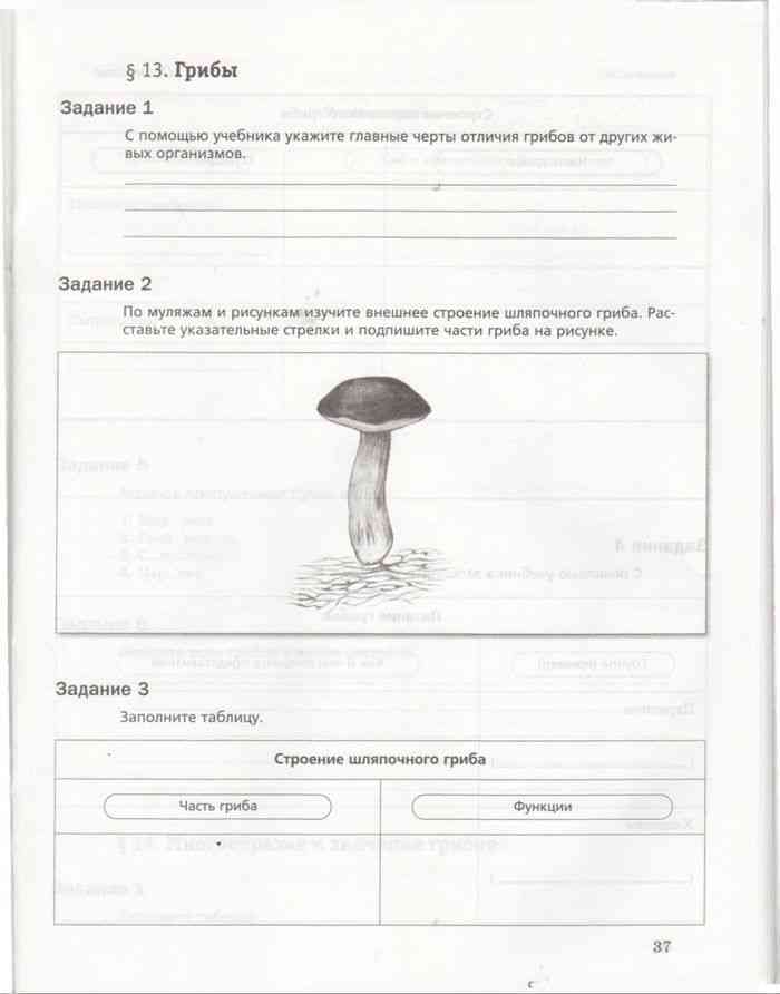 Биология 5 класс рабочая тетрадь страница 76