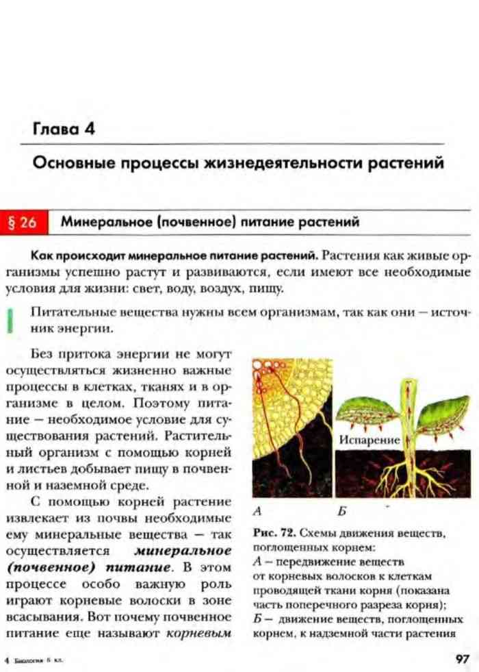 Биология 6 класс читать. Минеральное питание растений 6 класс. Процессы жизнедеятельности растений 6 класс биология. Учебник по биологии 6 класс Пономарева.