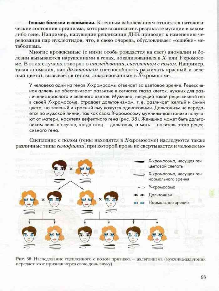 Биология 9 класс Пономарева. Биология 9 класс Пономарева содержание. Учебник по биологии 9 класс пономарева читать