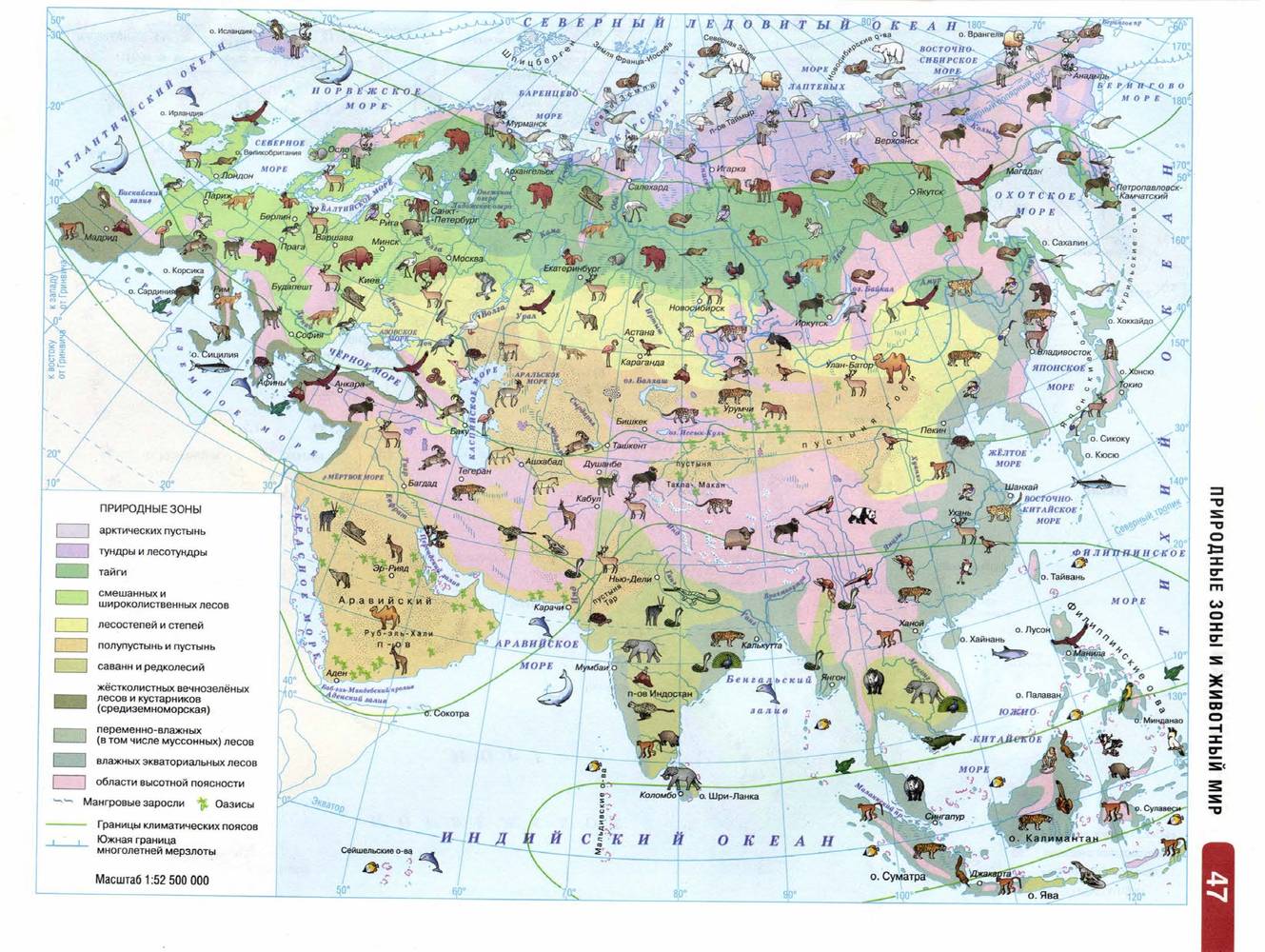 Географические зоны евразии. Природные зоны Евразии атлас. Карта Евразии атлас 7 класс география. Атлас по географии 7 класс карта Евразии.