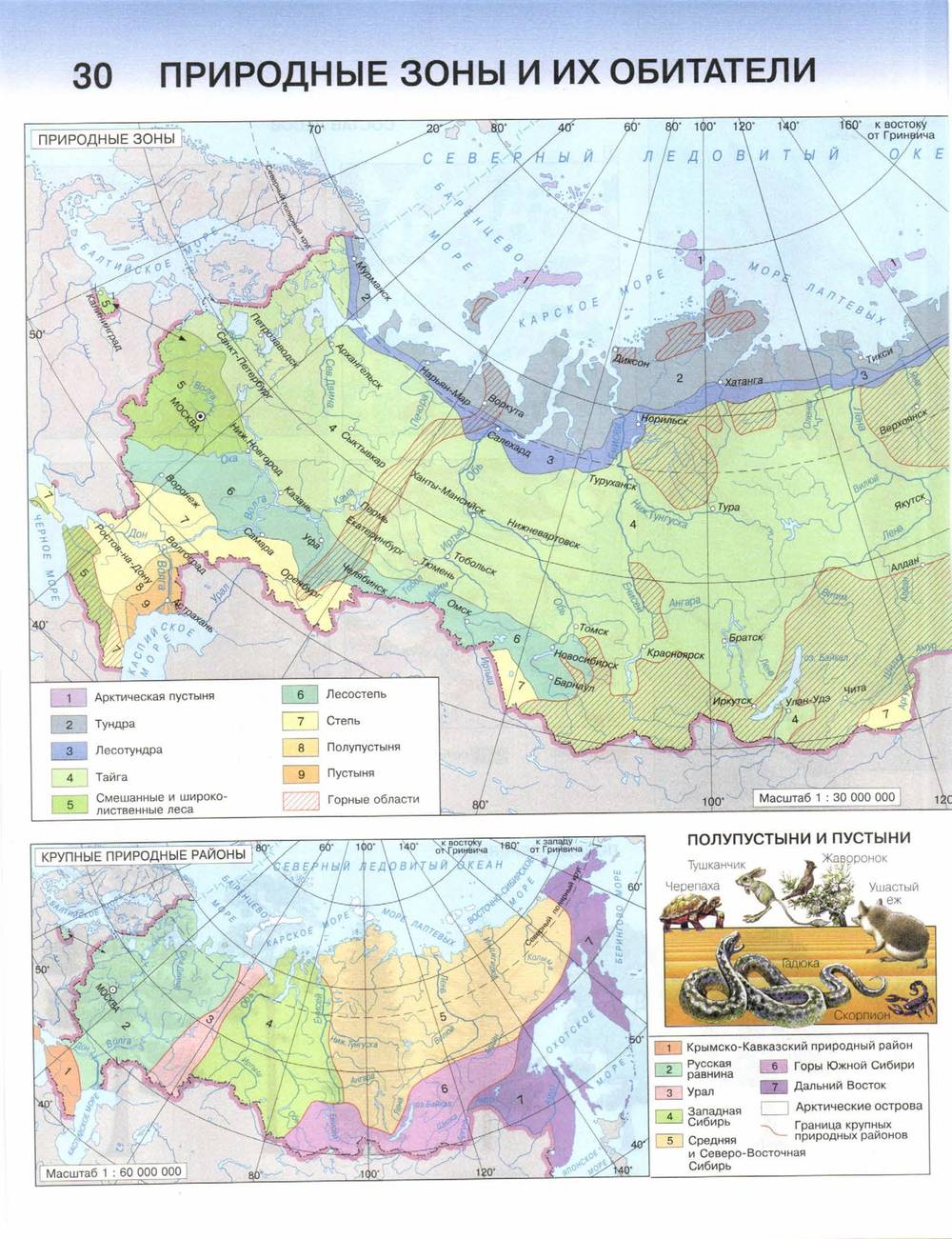 Природные границы восточной сибири. Природные зоны Западной Сибири контурная карта. Природные зоны Западной Сибири на карте контурной карте. Природные зоны Восточной Сибири контурная карта. Природные зоны Восточная Сибирь и Дальний Восток контурная карта.