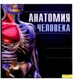 Анатомия человека. Иллюстрированный атлас
