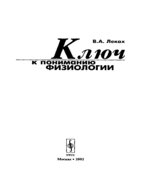 Ключ к пониманию физиологии