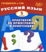 Русский язык. 5 класс. Практикум по орфографии и пунктуации