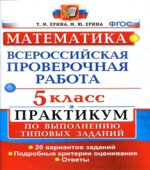 Математика. 5 класс. Всероссийская проверочная работа. Практикум