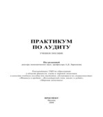 Практикум по аудиту