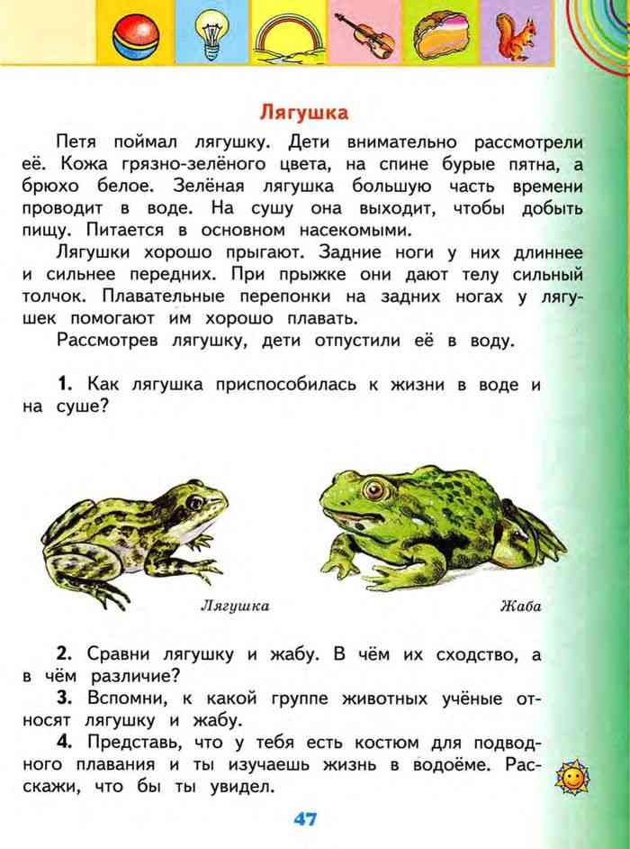 Похожие но разные. Сходство лягушки и Жабы 2 класс. Зеленые страницы различия лягушки и Жабы. Зеленые страницы лягушка и жаба. Зелёные страницы похожие но разные лягушка и жаба.